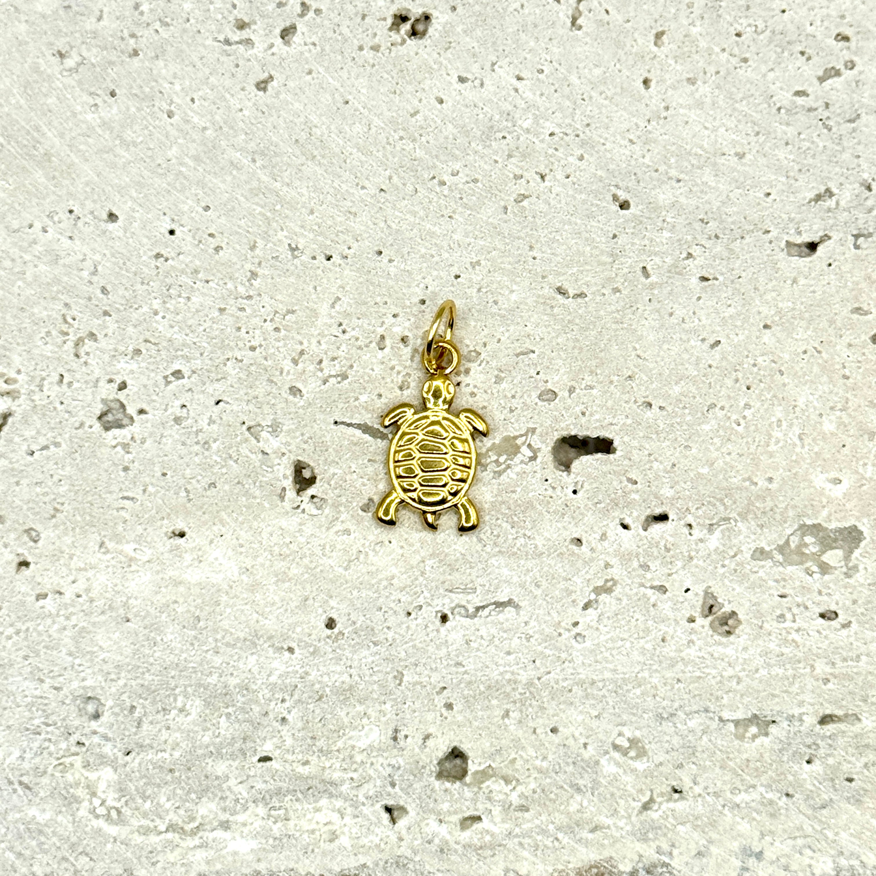 CHARM TORTUE