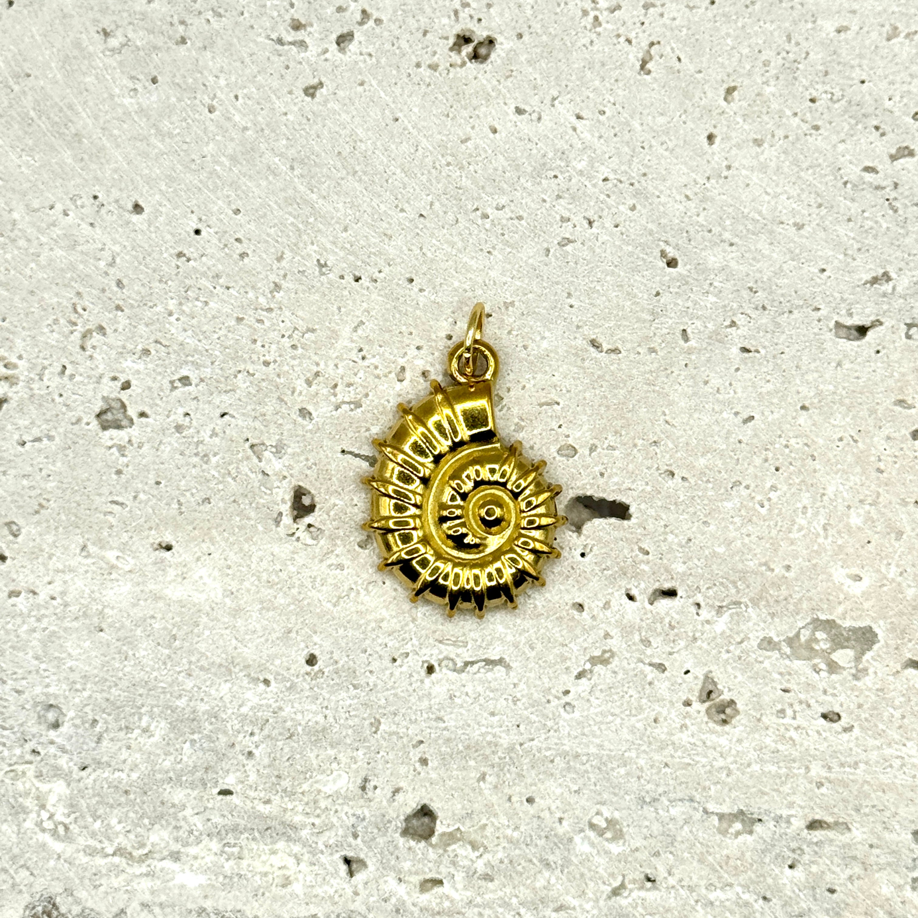 CHARM COQUILLE